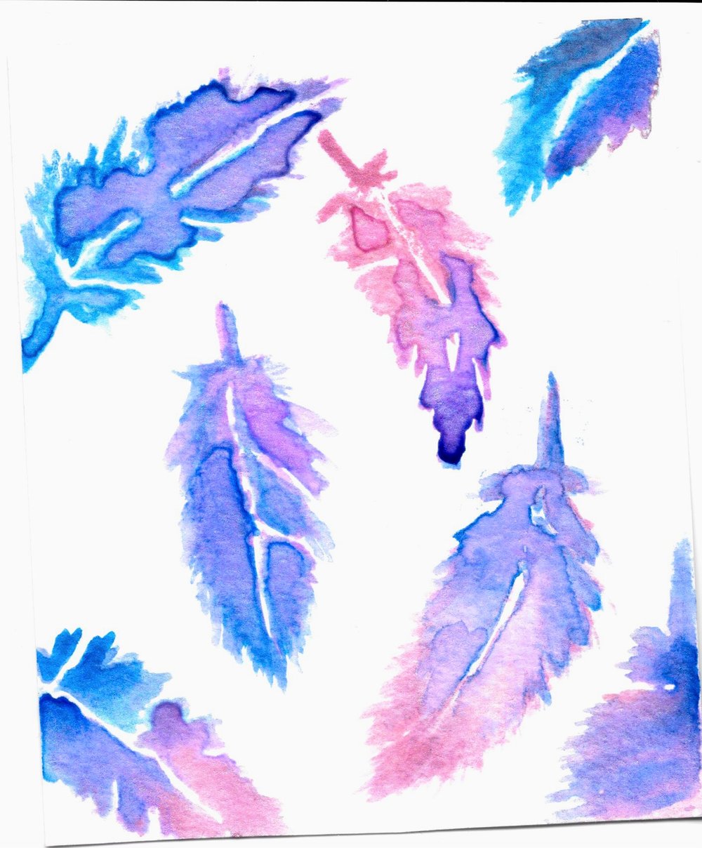 feathers.jpeg
